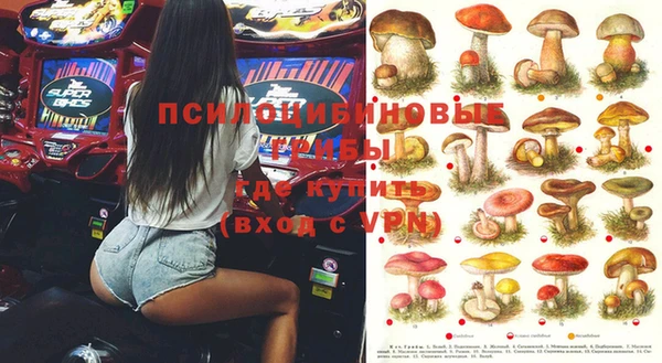 бошки Богородск