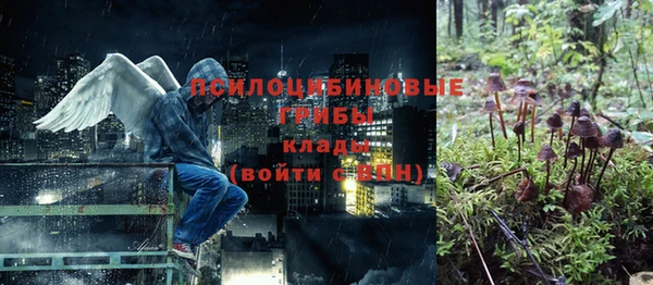 дживик Богданович