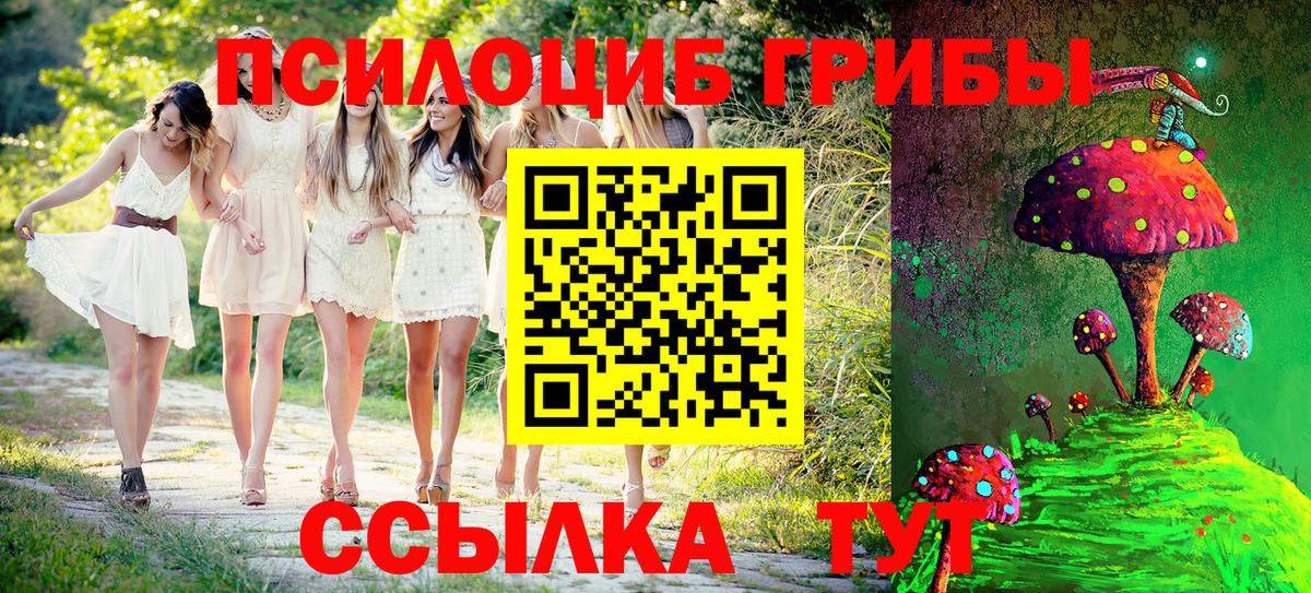 Галлюциногенные грибы Cubensis Обь
