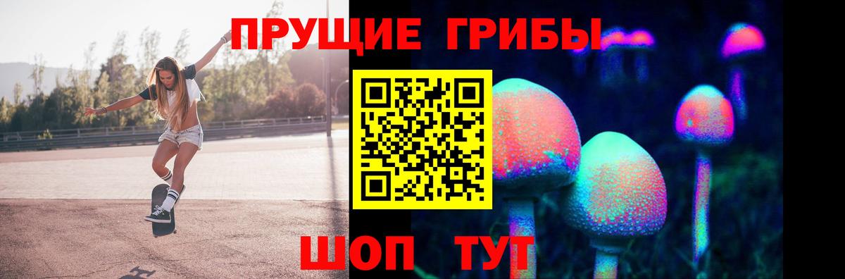 Псилоцибиновые грибы Psilocybe  Вход с VPN  Псилоцибиновые грибы GOLDEN TEACHER  Обь 
